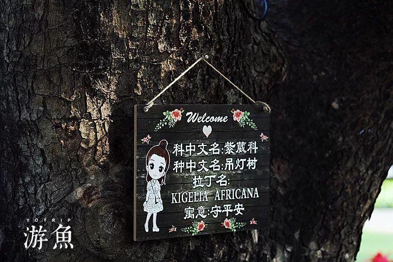 西周时代平均寿命18岁是真的吗?他们怎么计算出来的?-全面解决您的疑问